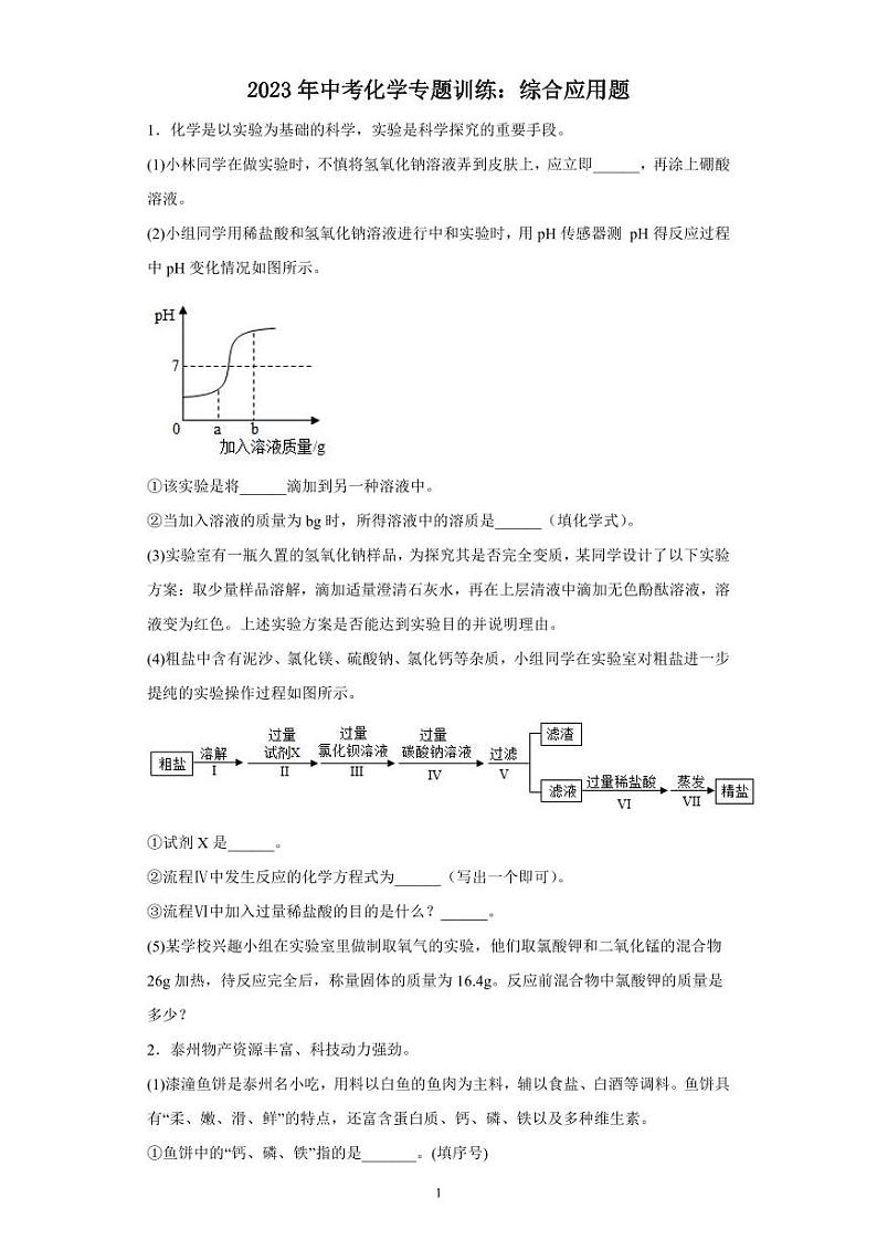 2023年中考化学专题训练综合应用题01