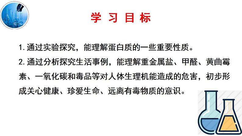 10.3远离有毒物质课件---2022-2023学年九年级化学鲁教版下册第2页