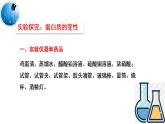 10.3远离有毒物质课件---2022-2023学年九年级化学鲁教版下册