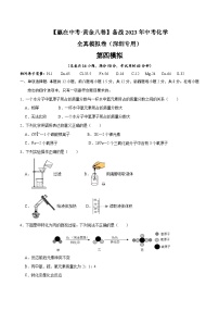 黄金卷4-【赢在中考·黄金八卷】备战2023年中考化学全真模拟卷（深圳专用）