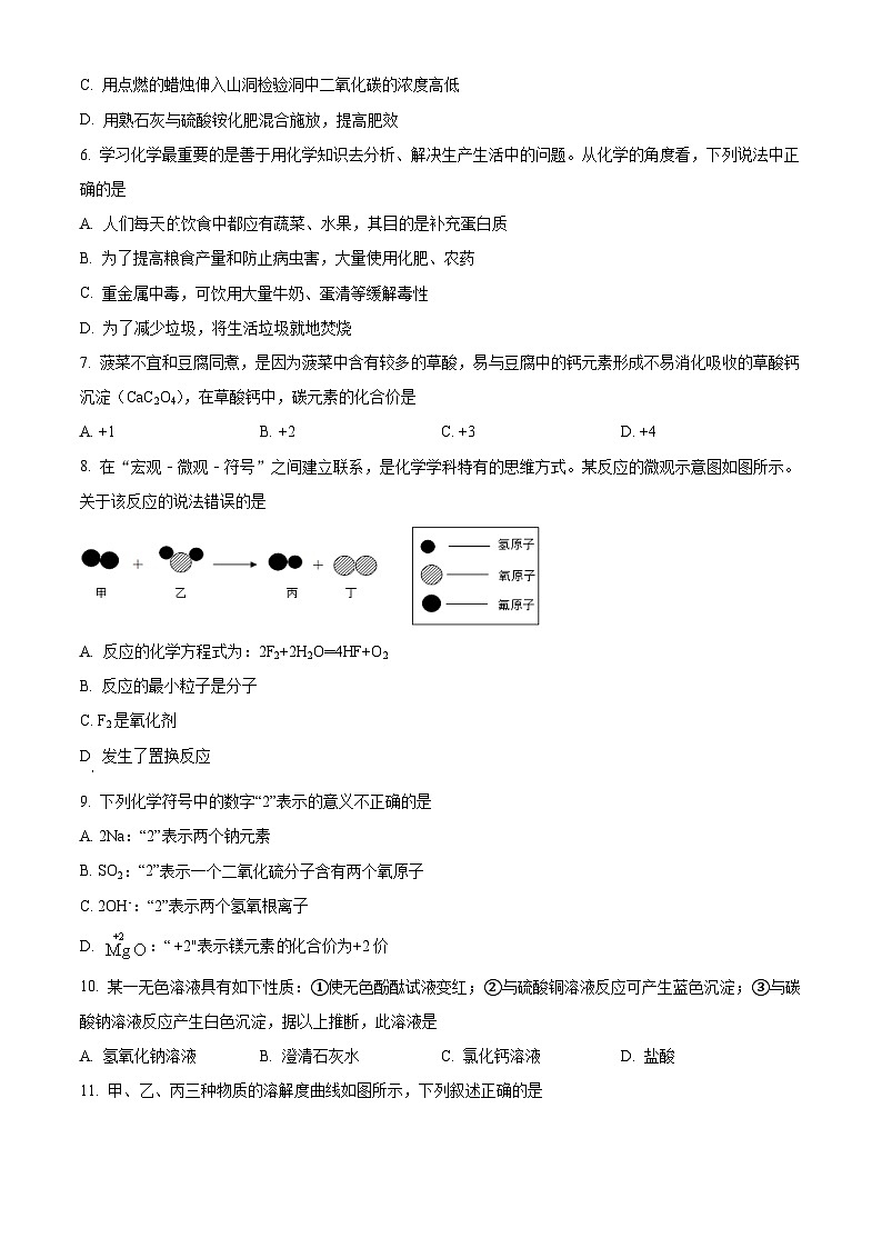精品解析：2023年四川省乐山市夹江县中考适应性考试化学试题 （原卷版）02