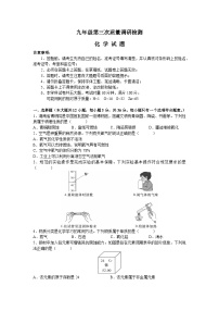 湖南省长沙市湖南师大附中教育集团九年级下学期期中考试化学试题