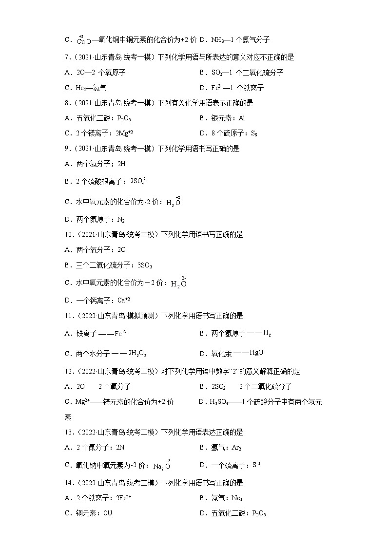 山东省青岛市三年（2020-2022）中考化学模拟题分题型分层汇编-07化学用语第2页