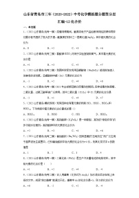 山东省青岛市三年（2020-2022）中考化学模拟题分题型分层汇编-12化合价