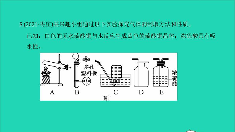 全国版2022中考化学第二篇专题突破能力提升专题七气体的制取和收集练本课件第7页