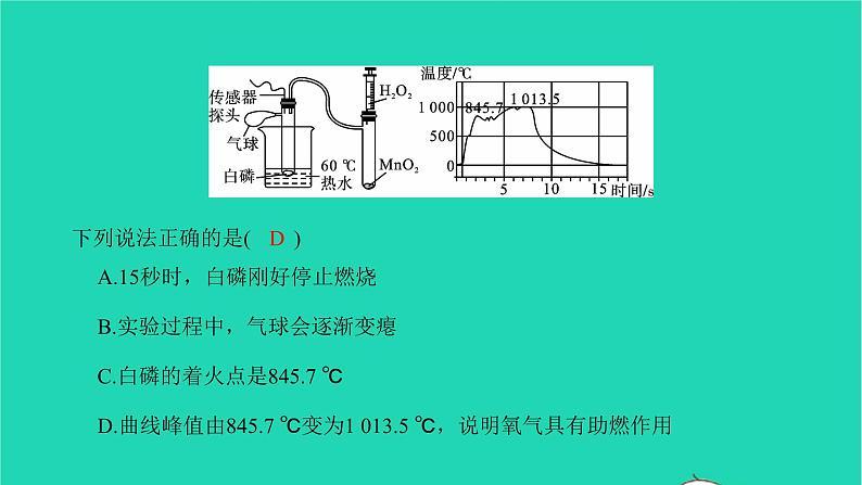 全国版2022中考化学第二篇专题突破能力提升专题十三种新型题型讲本课件04