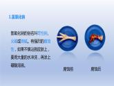 第十单元酸和碱课题1常见的酸和碱第3课时常见的碱 碱的化学性质课件