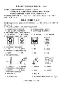 2023年江苏省无锡市中考适应性练习化学试卷