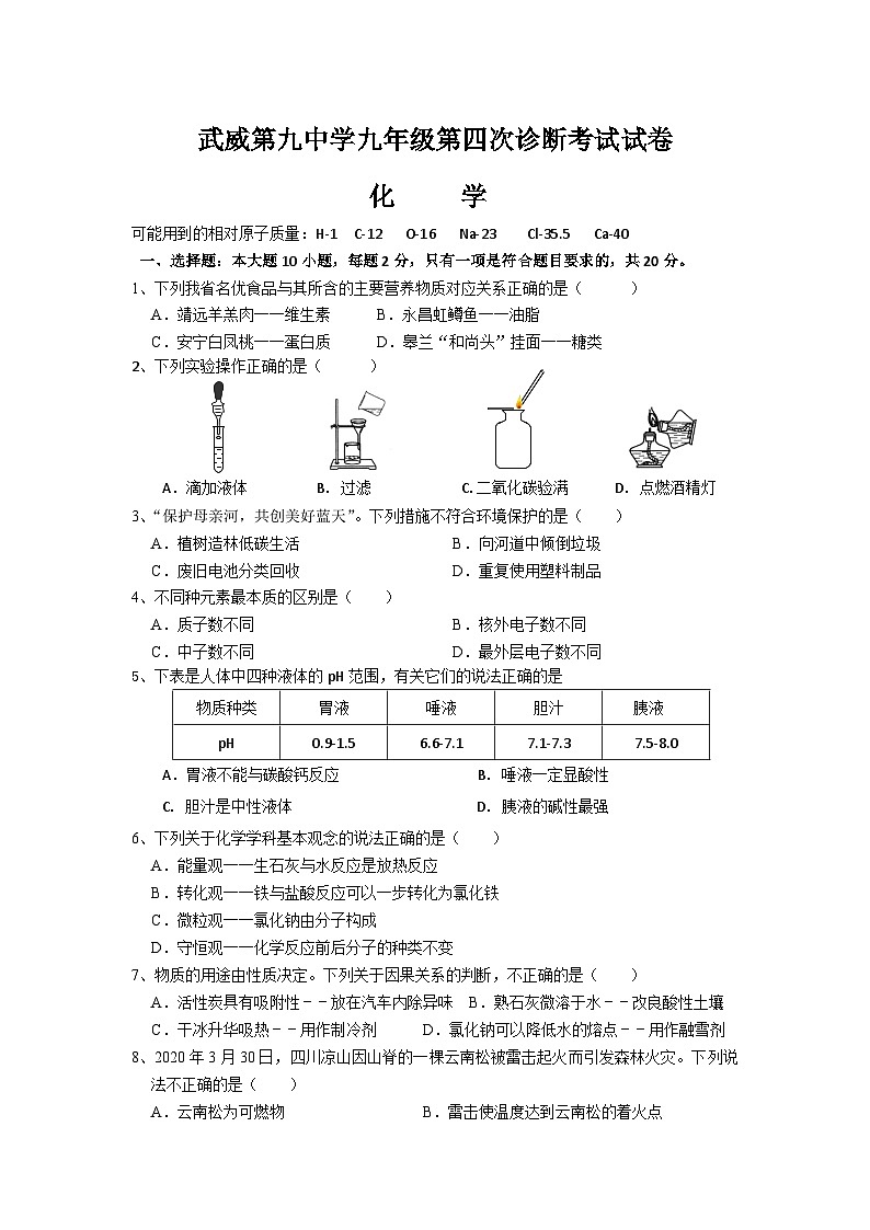 甘肃省武威市第九中学2023年中考第四次诊断考试化学试卷（无答案）第1页