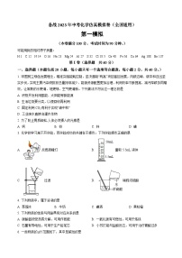 备战2023年中考化学仿真模拟卷（全国通用）（解析版）