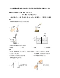 2023届陕西省西安市中考化学阶段性适应模拟试题（3月）含解析