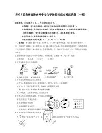 2023届贵州省黔南州中考化学阶段性适应模拟试题（一模）含解析