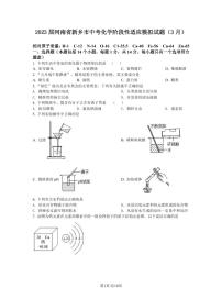 2023届河南省新乡市中考化学阶段性适应模拟试题（3月）含解析