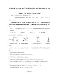 2023届黑龙江省虎林市中考化学阶段性适应模拟试题（4月）含解析