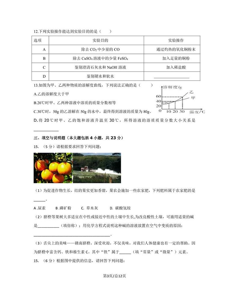 2023届江西省赣州市寻乌县中考化学阶段性适应模拟试题（一模）含解析03