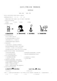 【全科】模考卷2023年雅礼教育集团 中考一模 化学试卷（含答案）