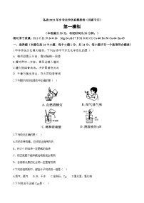 2023年河南中考化学仿真模拟卷（解析版）