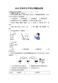 2023年山东省枣庄市中考模拟化学试卷1