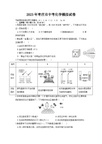 2023年山东省枣庄市中考模拟化学试卷2