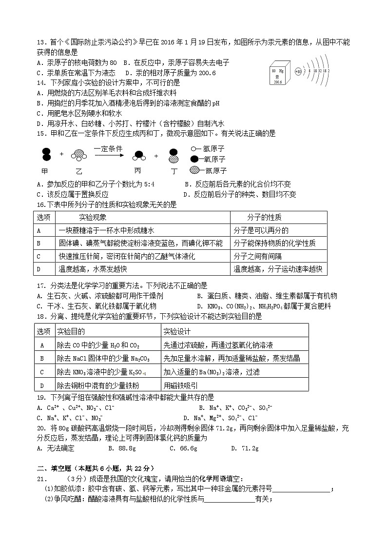2023年湖南省株洲市渌口区中考模拟考试（一模）化学试题（含答案）02