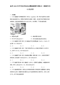 备考2023年中考化学知识点模拟新题专项练习（福建专用）-12化合价