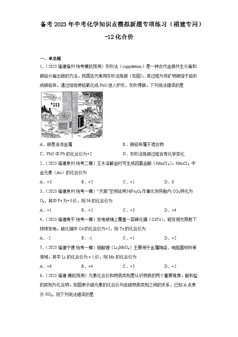 备考2023年中考化学知识点模拟新题专项练习（福建专用）-12化合价第1页