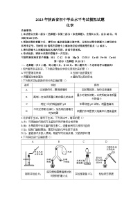 2023年陕西省西安市蓝田县中考模拟化学试题