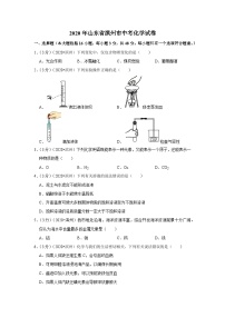 2020山东滨州中考化学试卷含答案