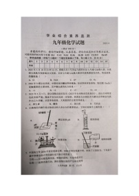 2023年山东省枣庄市薛城区初中学业水平模拟考试（二调）化学试题