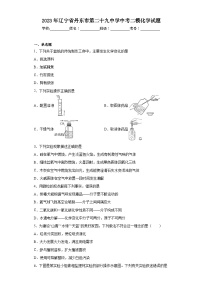 2023年辽宁省丹东市第二十九中学中考二模化学试题（含答案）