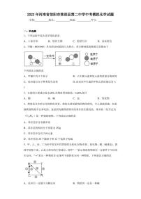 2023年河南省信阳市淮滨县第二中学中考模拟化学试题