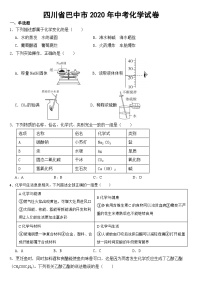 四川省巴中市2020年中考化学试卷【含答案】