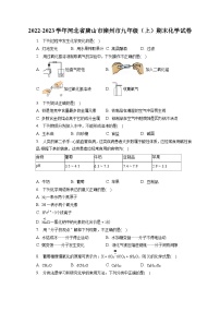 2022-2023学年河北省唐山市滦州市九年级（上）期末化学试卷（含解析）