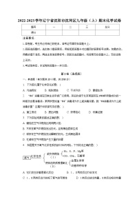 2022-2023学年辽宁省沈阳市沈河区九年级（上）期末化学试卷（含解析）