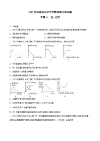 专题11   盐  化肥——2023年河南省化学中考模拟题分项选编