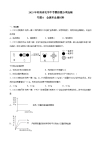 专题8  金属和金属材料——2023年河南省化学中考模拟题分项选编