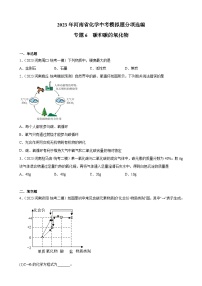 专题6  碳和碳的氧化物——2023年河南省化学中考模拟题分项选编