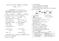 甘肃省武威市凉州区武威第二十四中学2022-2023学年九年级下学期6月月考化学试题