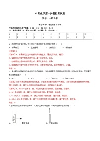 化学（新疆卷）-学易金卷：中考第一次模拟考试卷