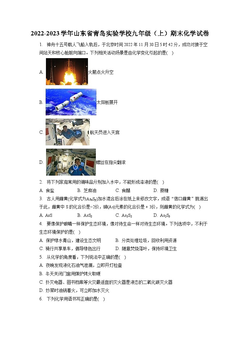 2022-2023学年山东省青岛实验学校九年级（上）期末化学试卷（含解析）第1页