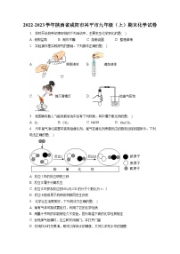 2022-2023学年陕西省咸阳市兴平市九年级（上）期末化学试卷（含解析）