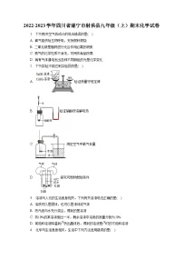 2022-2023学年四川省遂宁市射洪县九年级（上）期末化学试卷（含解析）