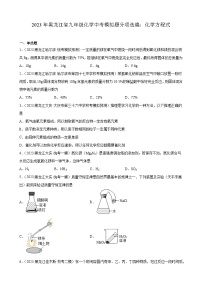 2023年黑龙江省九年级化学中考模拟题分项选编：化学方程式