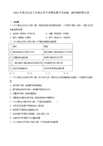 2023年黑龙江省九年级化学中考模拟题分项选编：碳和碳的氧化物