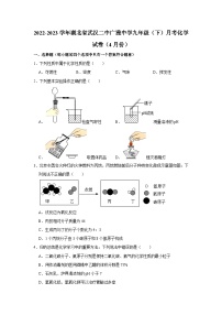 2022-2023学年湖北省武汉二中广雅中学九年级（下）月考化学试卷（4月份）