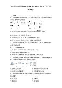 2023年中考化学知识点模拟新题专项练习（河南专用）-04置换反应