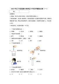 2023年辽宁省抚顺市东洲区中考化学模拟试卷（一）（含解析）