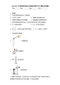 2023年广东省深圳市南山外国语学校中考三模化学试题(含答案)