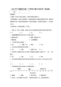 2023年广西柳州市铁一中学初中部中考化学一检试卷（含解析）