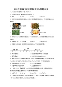 2023年湖南省长沙市望城区中考化学模拟试卷（含解析）